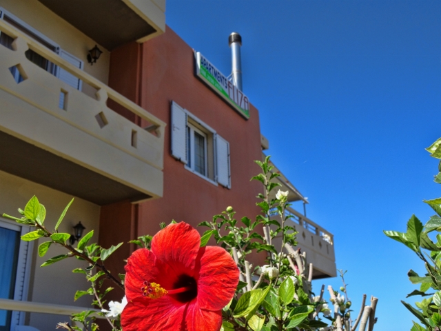 DSC00252 (640x480).jpg